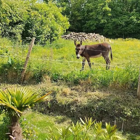 La Campagne Dore Holiday home Tour-en-Bessin