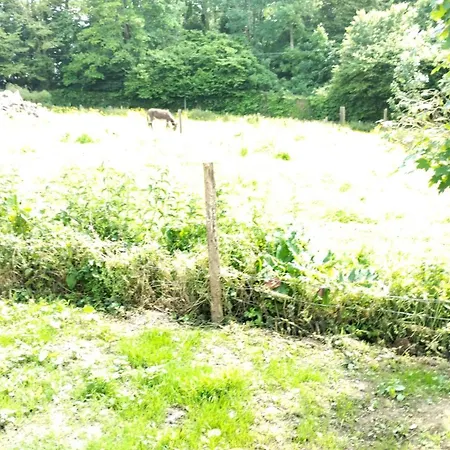La Campagne Dore