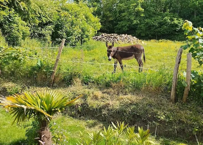 La Campagne Dore Holiday home Tour-en-Bessin